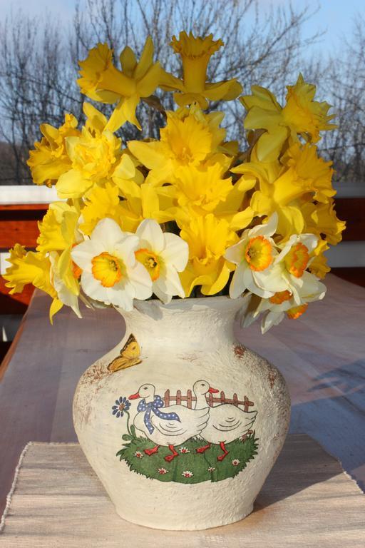 D.I.M. Holiday House Селище Дрезницко Екстериор снимка